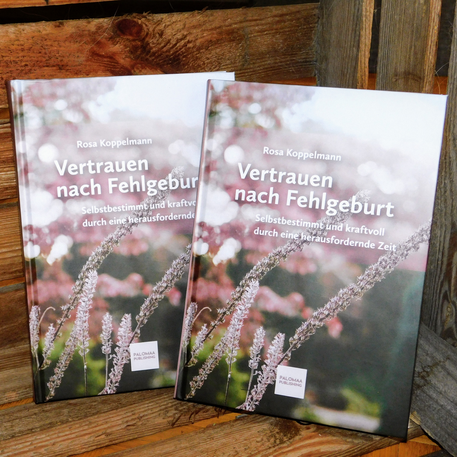 Vertrauen nach Fehlgeburten (Rosa Koppelmann)