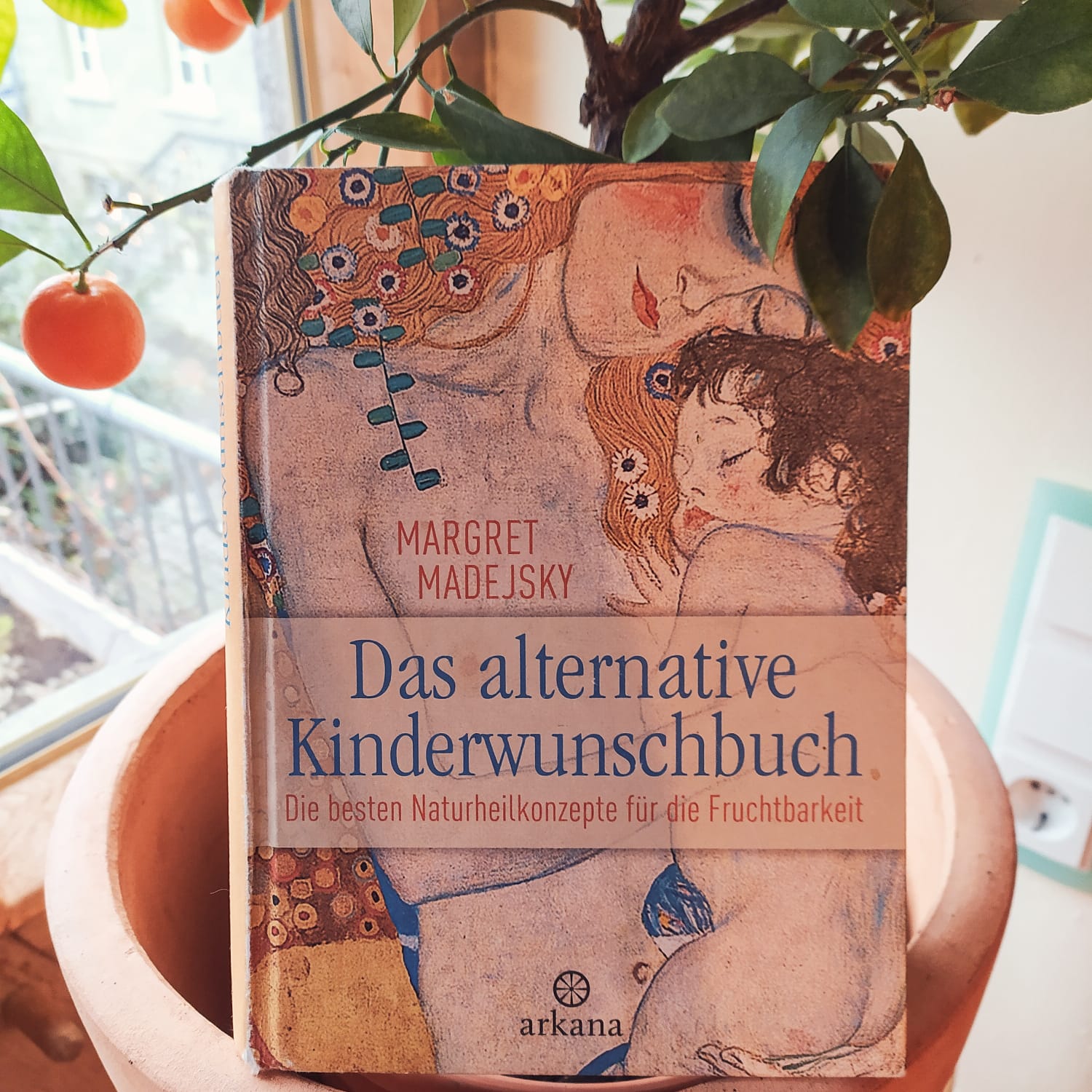 Das alternative Kinderwunschbuch (Margret Madejsky)