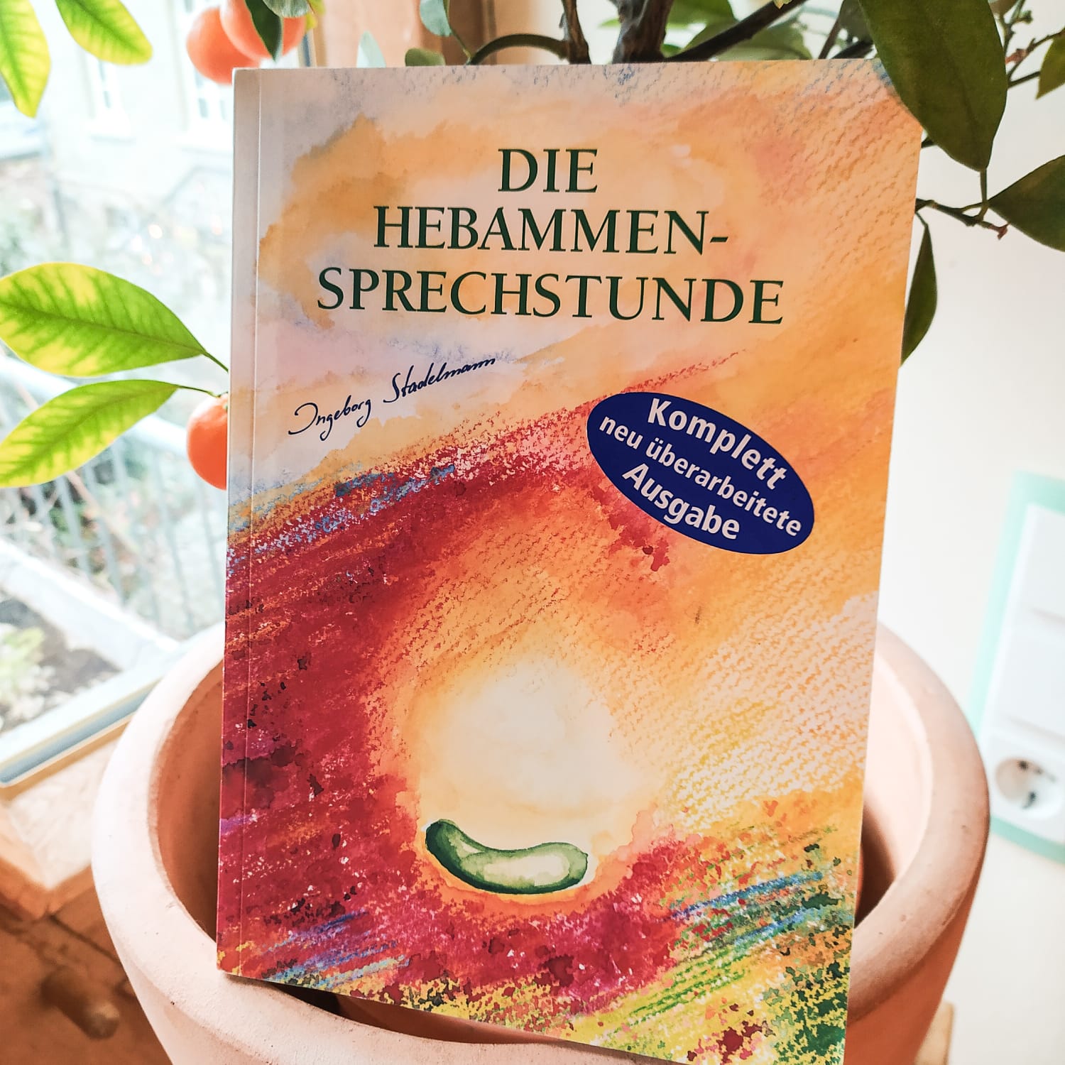 Die Hebammen-Sprechstunde (Ingeborg Stadelmann)