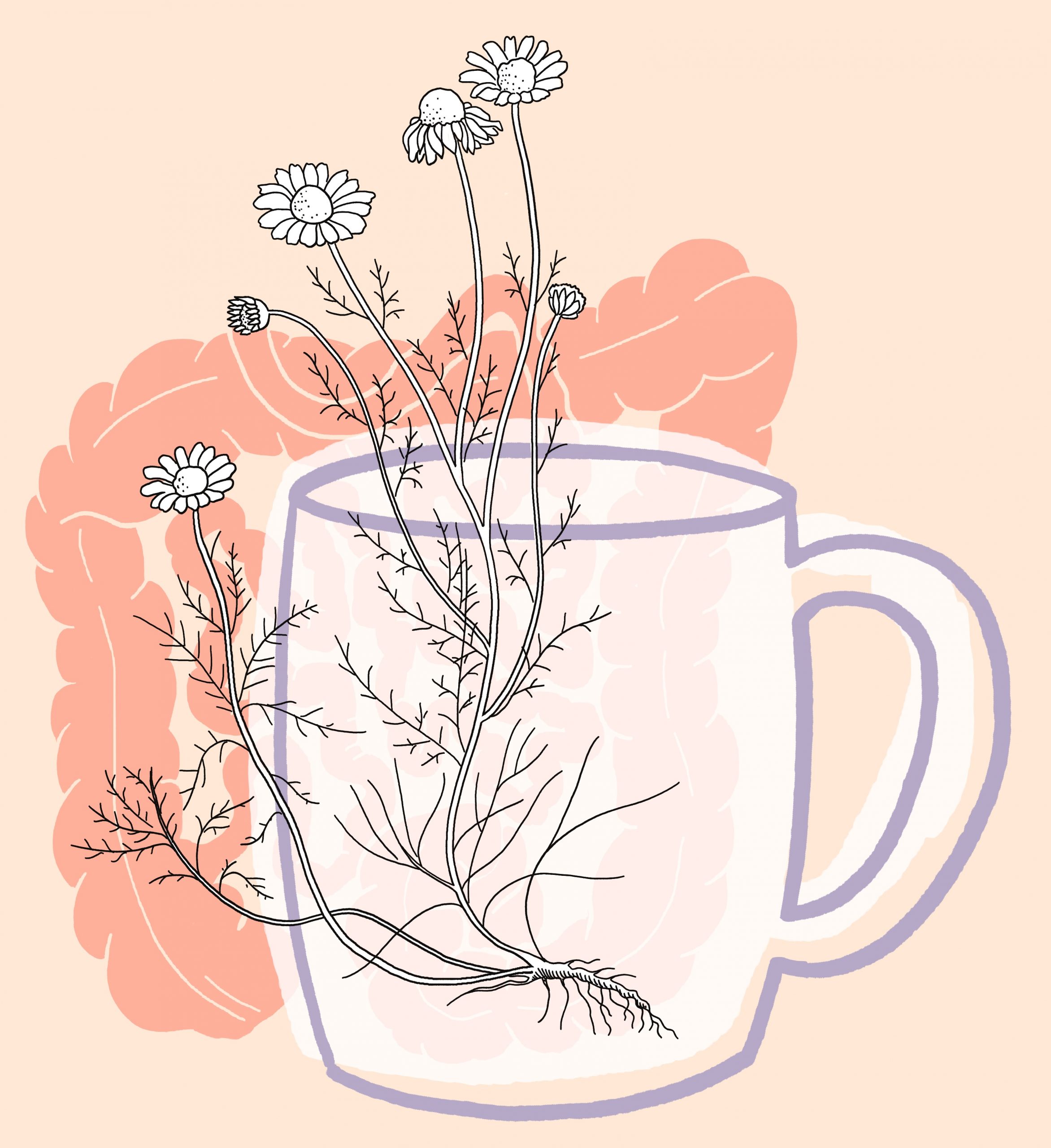 Zertifizierte Mikrobiom- & Darmtherapie Ausbildung – Frauengeflüster