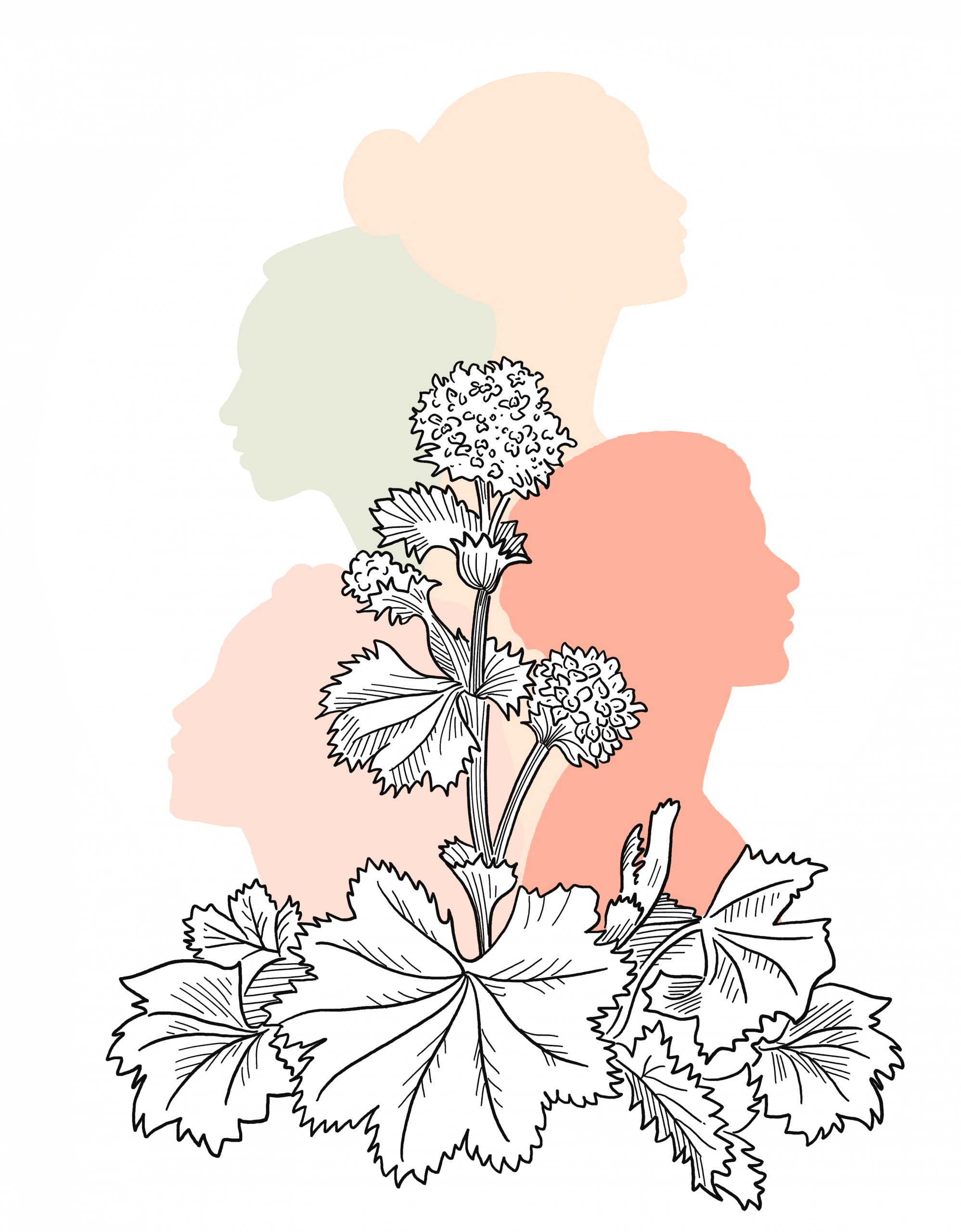 Große Frauenheilkunde-Ausbildung – Frauengeflüster