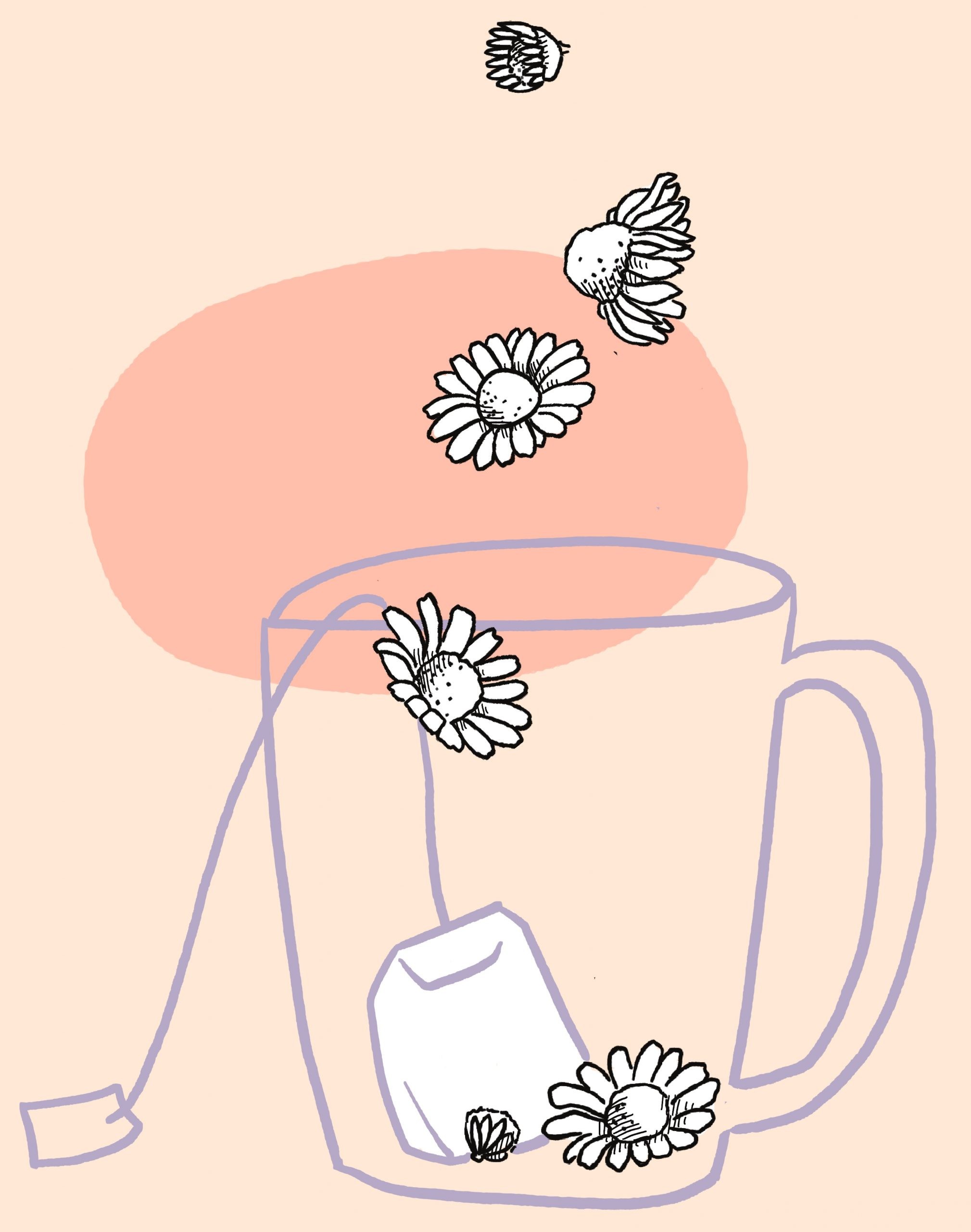 Ausbildung Ganzheitliche Ernährungsberatung – Frauengeflüster